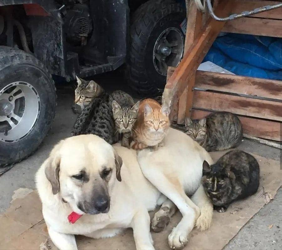 Reddit.com/the_real_one