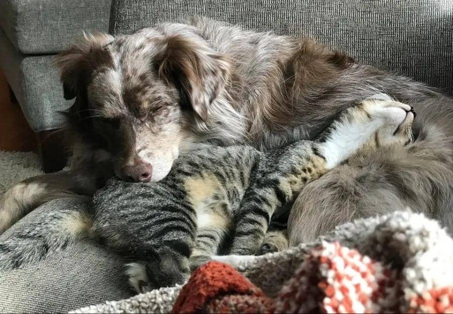 Reddit.com/DanWesson