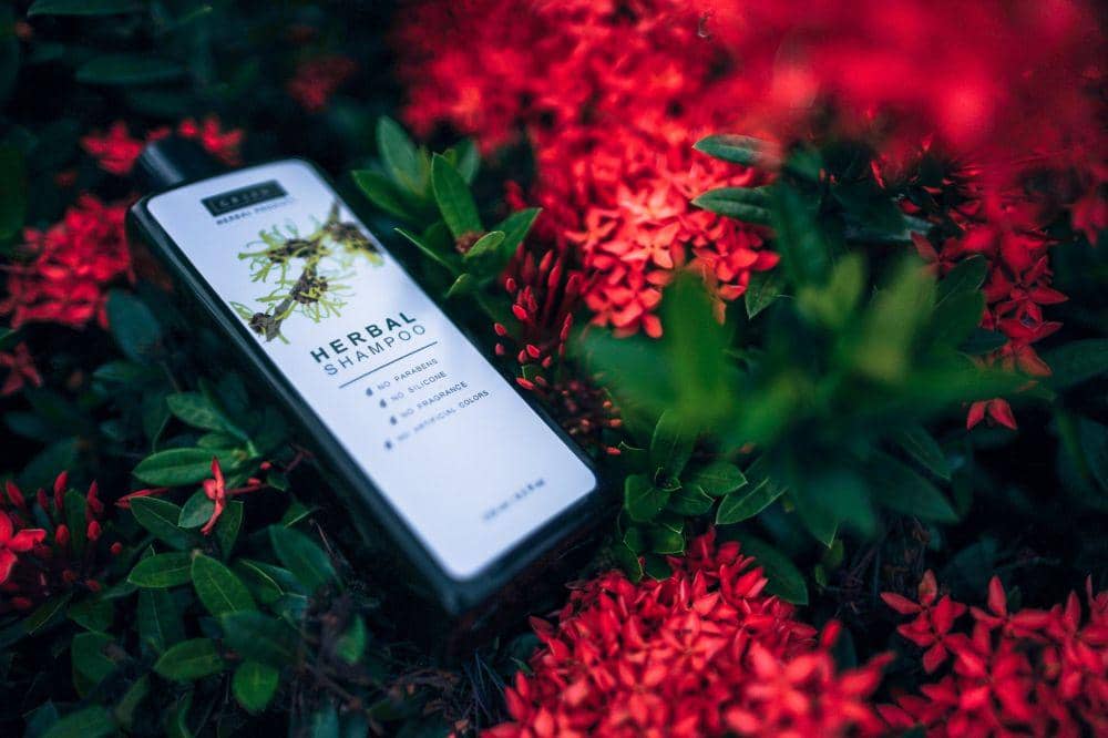 Pexels.com/fancycrave