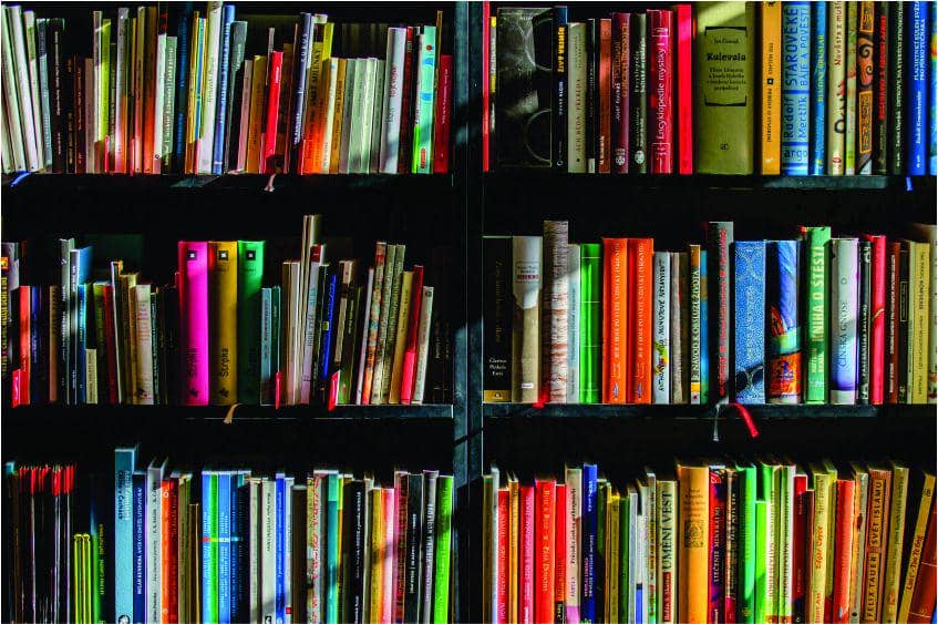 pixabay.com/Hobus Louska