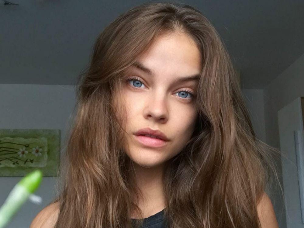 Instagram.com/realbarbarapalvin