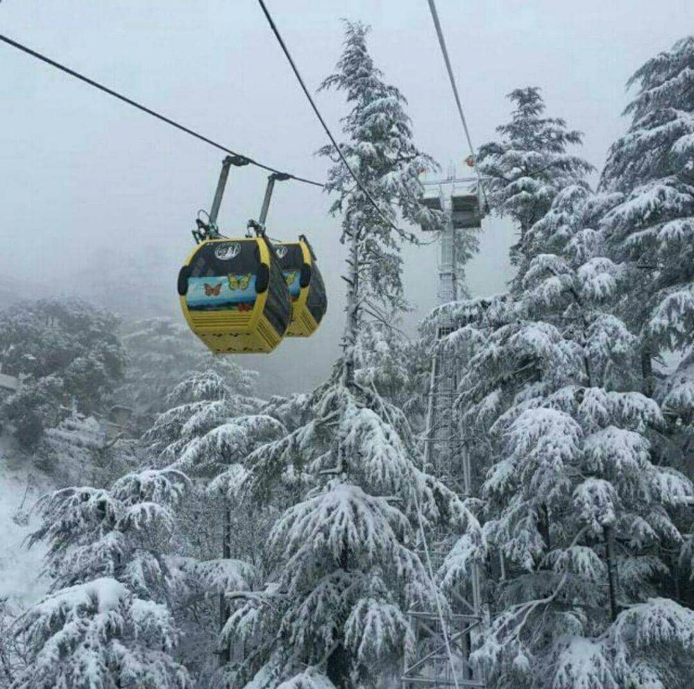 instagram.com/jakhuropeway