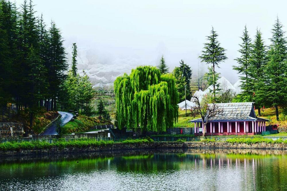 instagram.com/rollingcamera