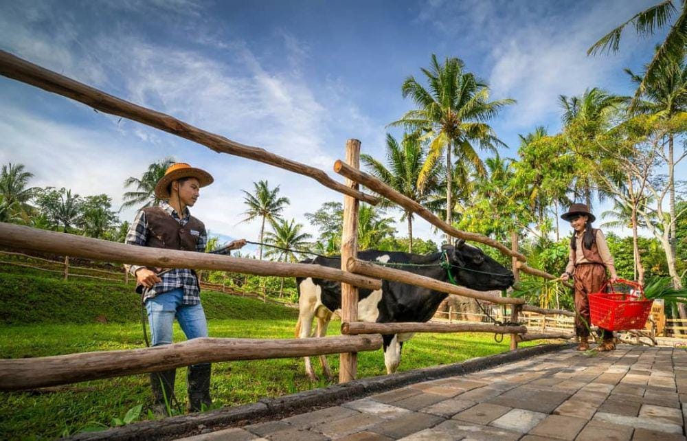 instagram.com/jogjajateng