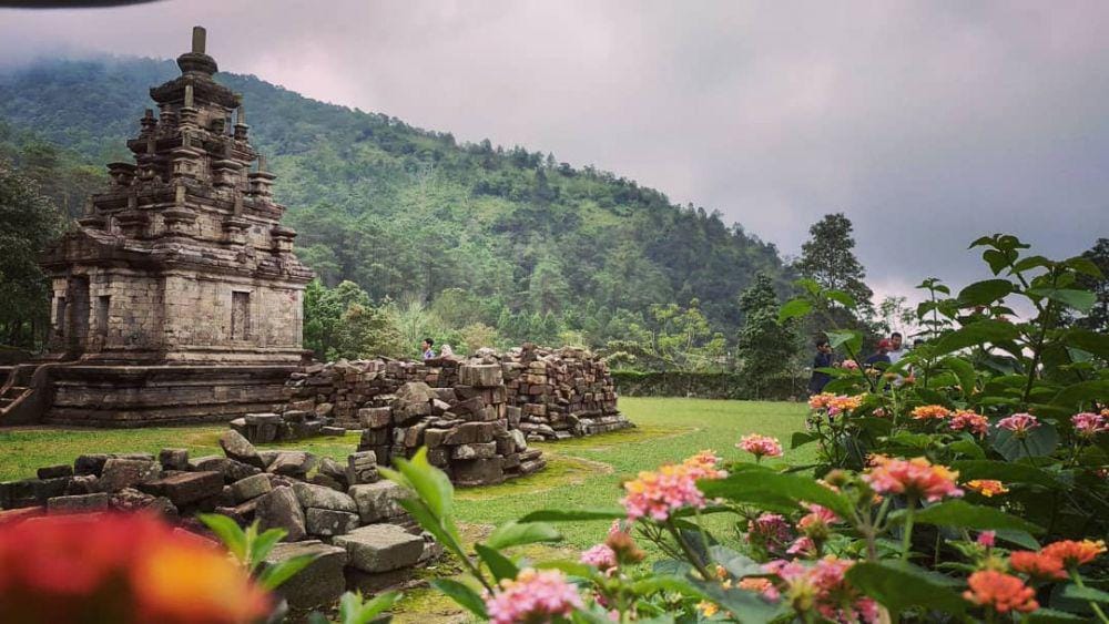 instagram.com/suka_bis