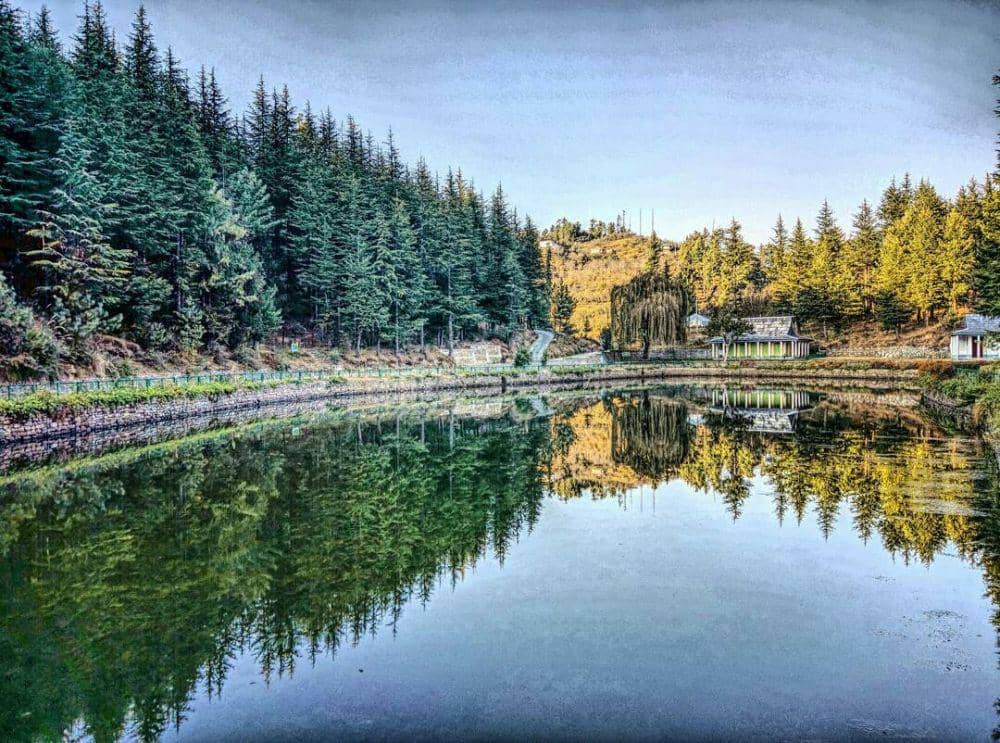 instagram.com/_rashit_thakur