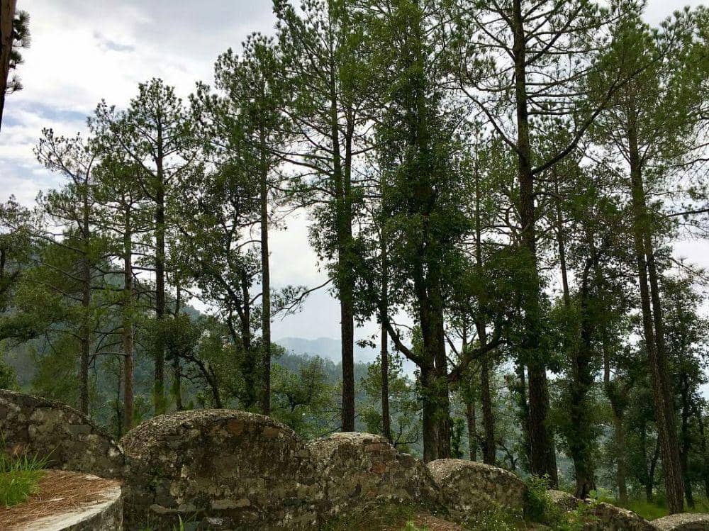 instagram.com/travelhomespace