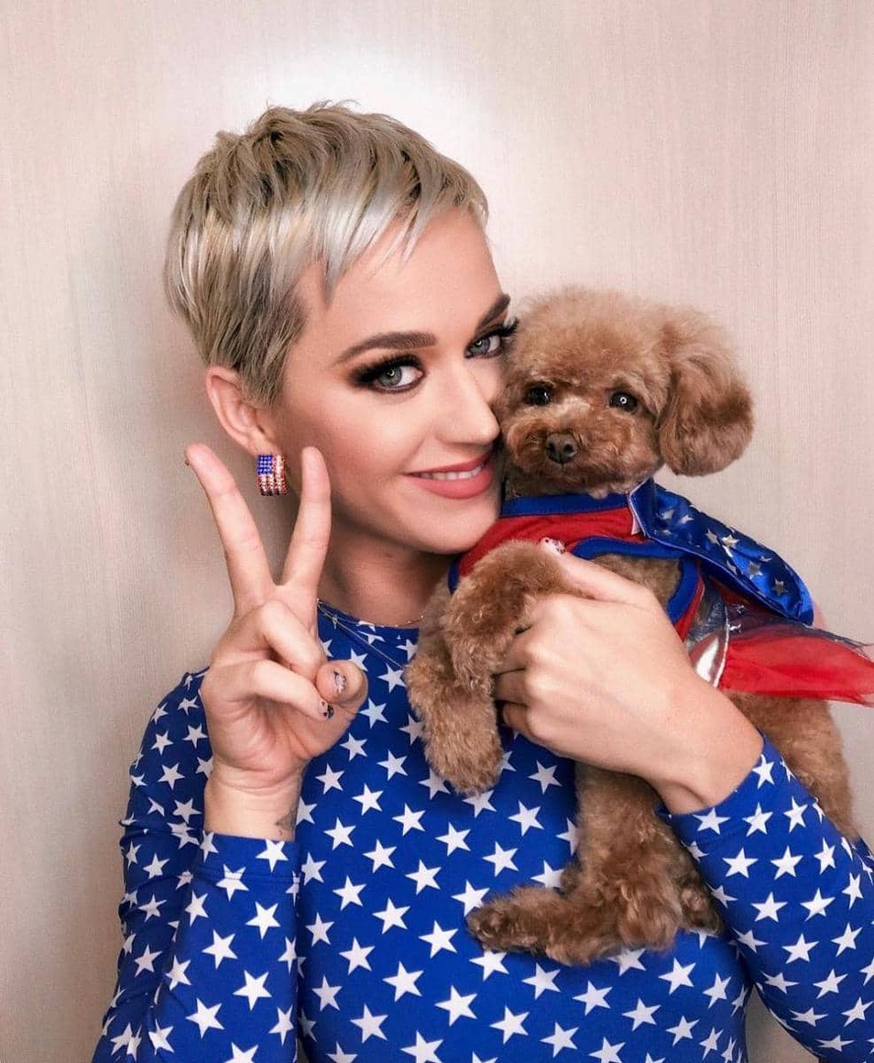 instagram.com/katyperry