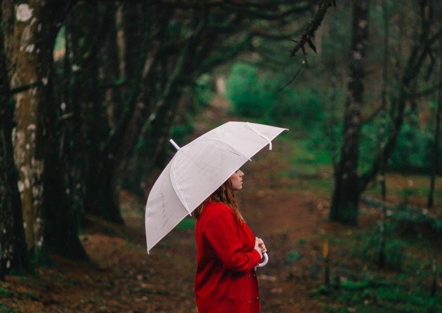 pexels.com/Guilherme Rossi