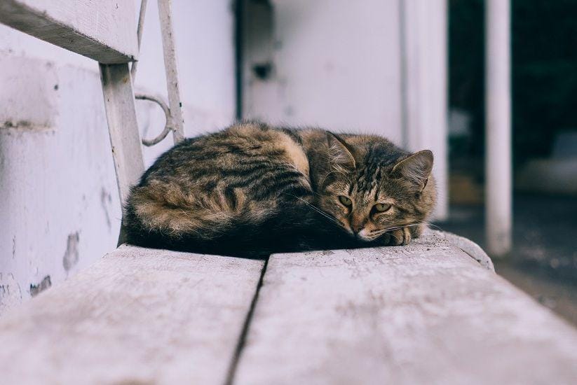 Unsplash/jbunyadzade