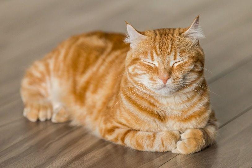 Unsplash/michaelsum1228