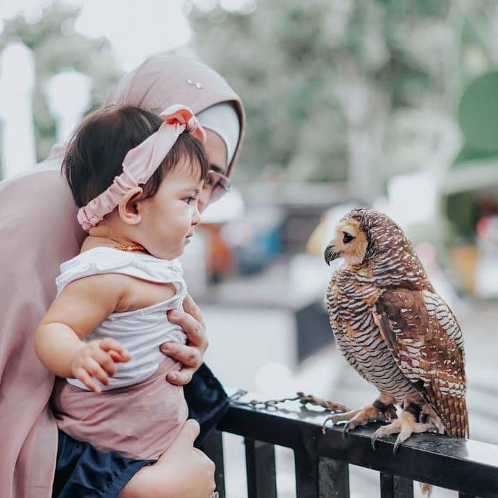 instagram.com/ristytagor