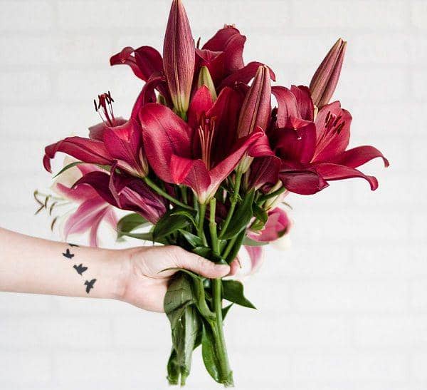 pexels.com/studio 4072