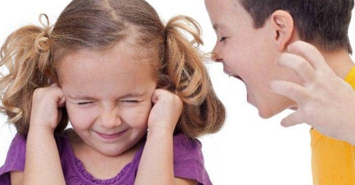 lemonlimeadventures.com