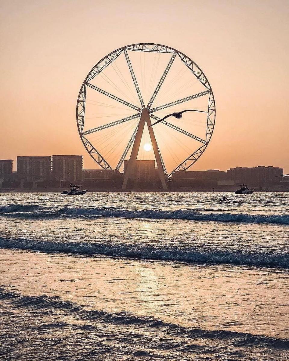 Instagram.com/dubai.impact