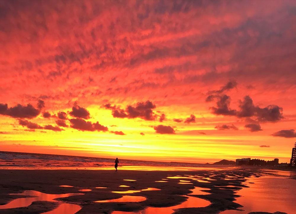 Unsplash/Susan Osburn