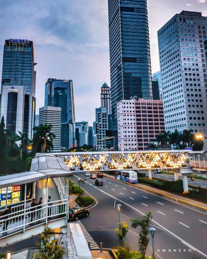 instagram.com/awaneko