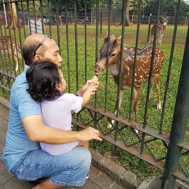 Instagram.com/andranadirafitri