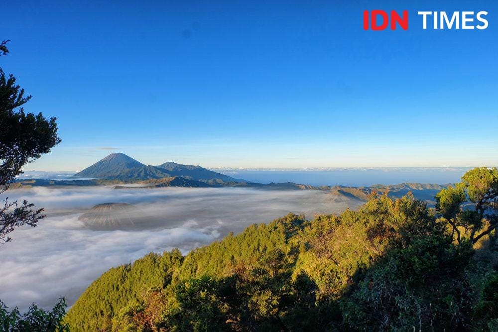 IDN Times/Reza Iqbal