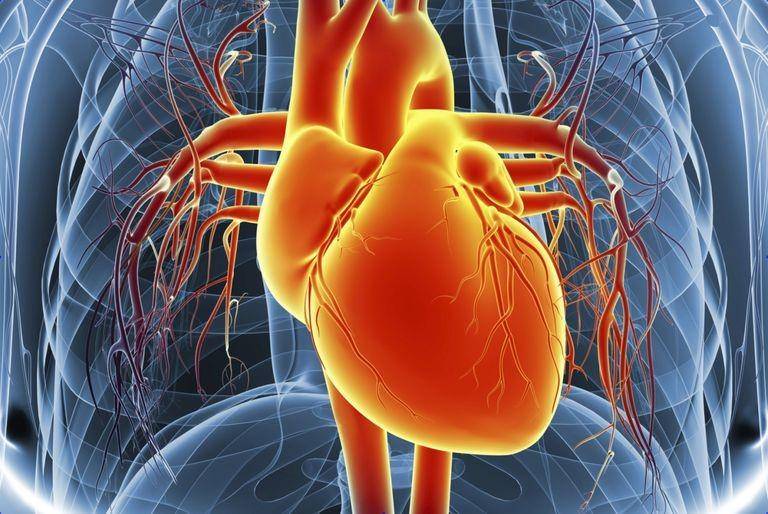 verywellhealth.com