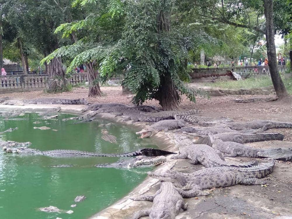 Instagram.com/rizwayalula