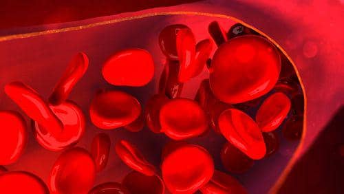 hemophilianewstoday.com