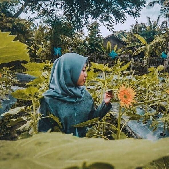 Instagram.com/tbmatahari_bekasi