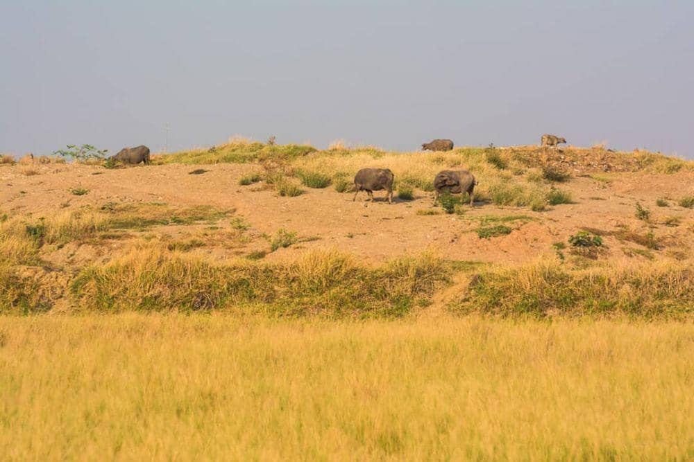 10 Tempat Wisata di Bekasi yang Keren dan Hits, Bikin Kagum!