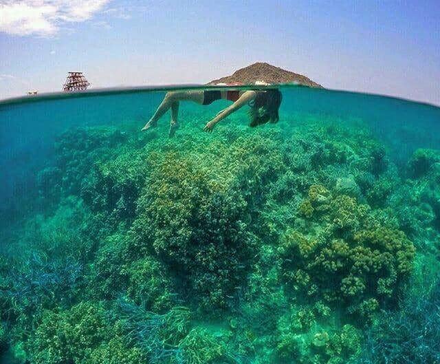 Instagram.com/marischkaprue