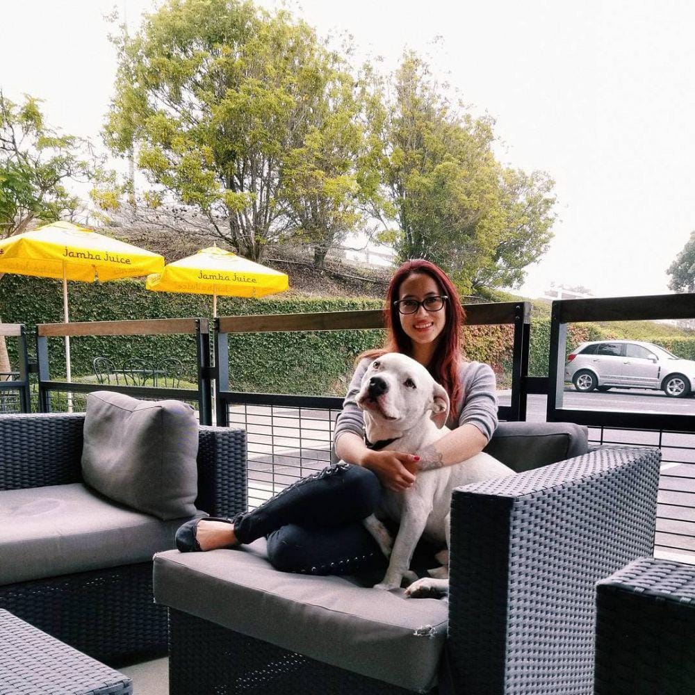 instagram.com/janisaas