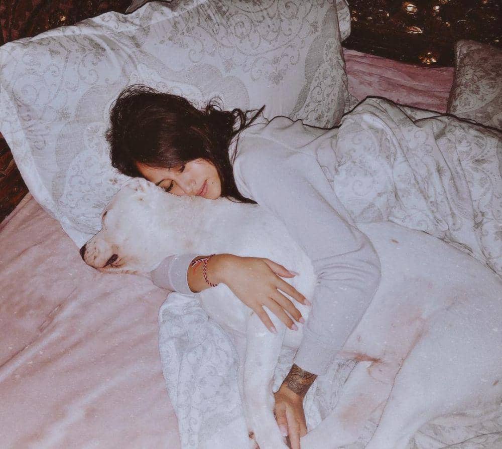 instagram.com/janisaas