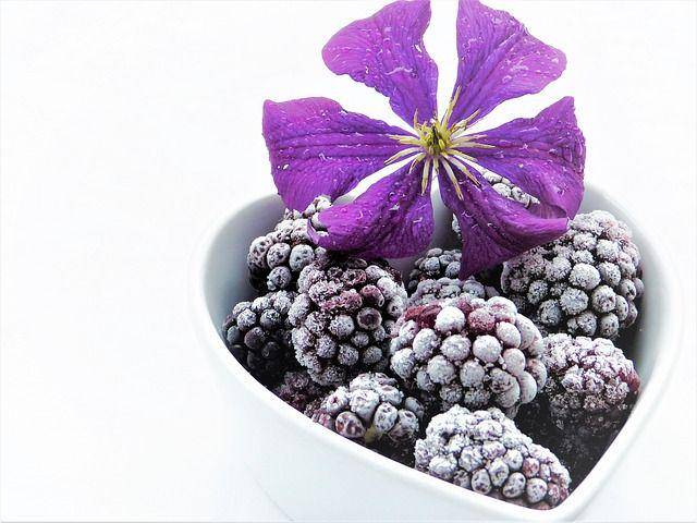 Pixabay/Silviarita