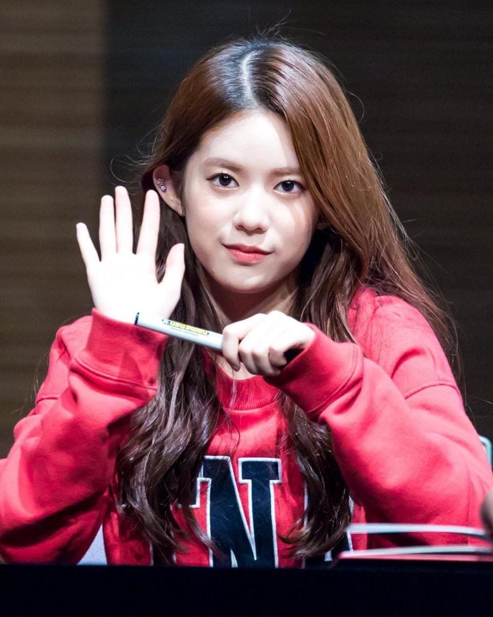 Instagram.com/daisy.mmld