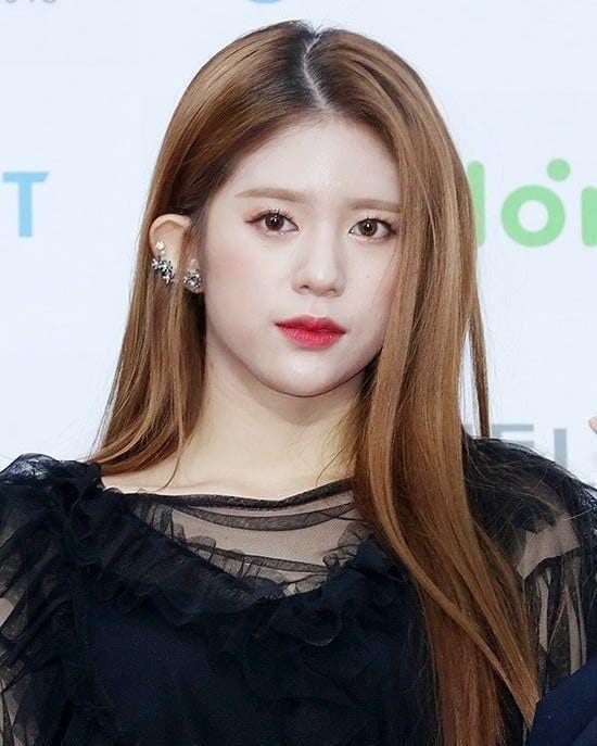 Instagram.com/daisy.mmld