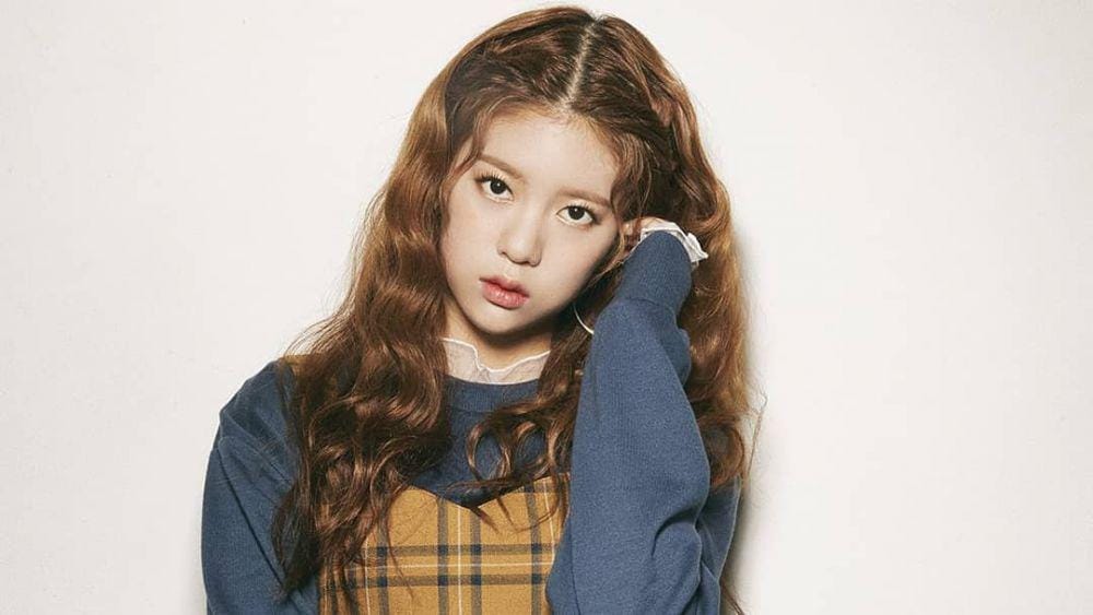 Instagram.com/daisy.mmld