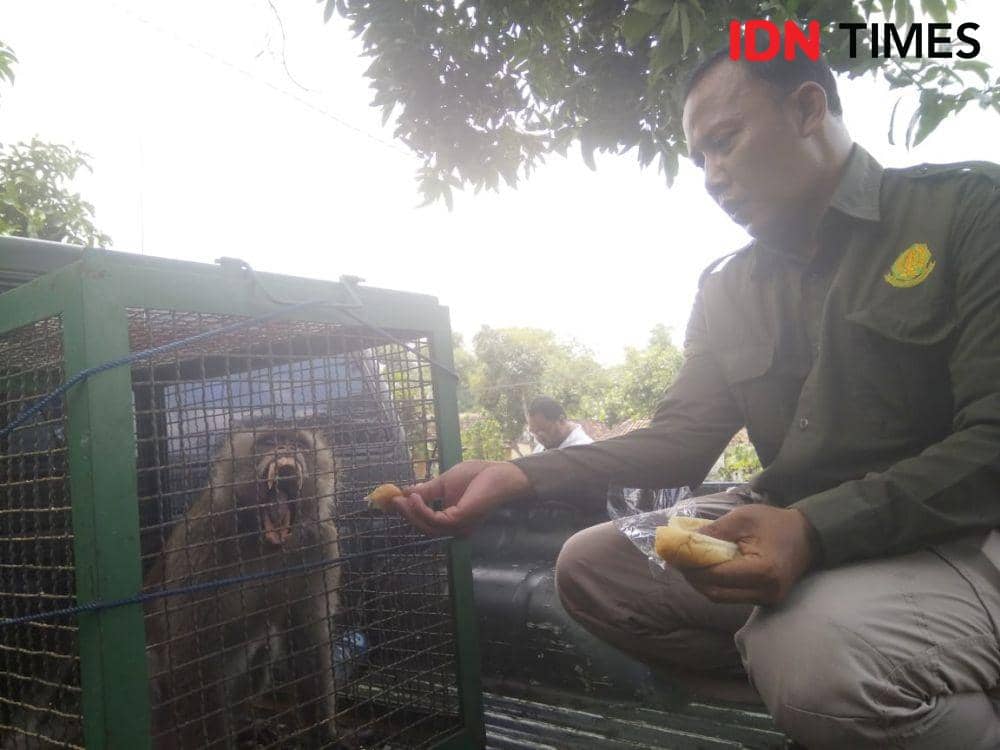 IDN Times/Nofika Dian Nugroho