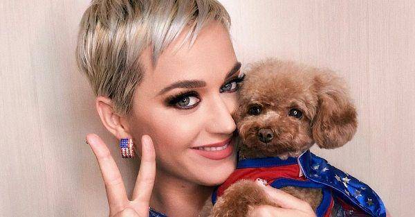 instagram.com/katyperry