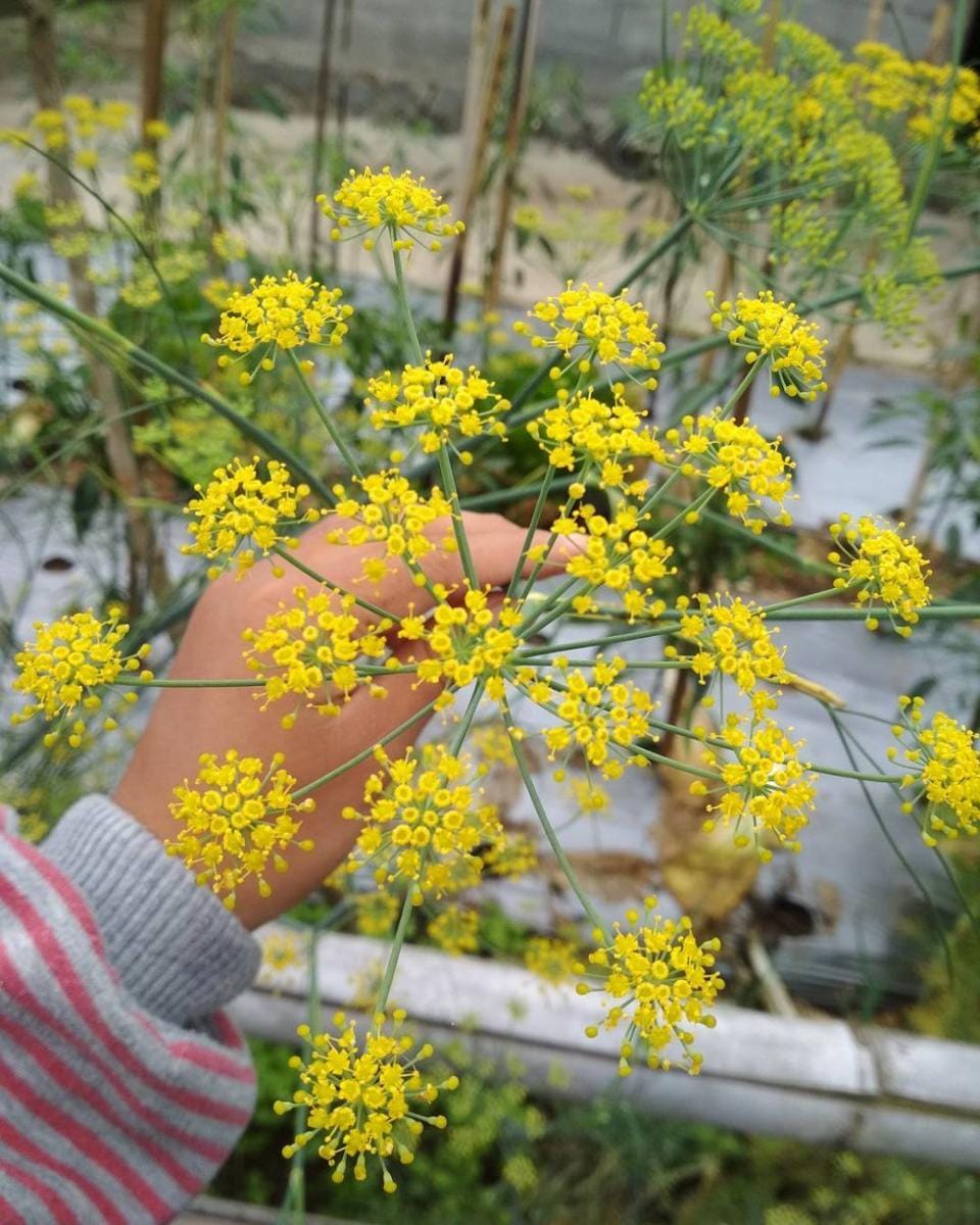 Instagram.com/riee_lan21