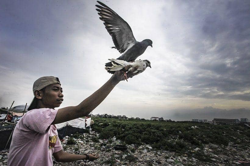 (Area Taman BMW yang akan jadi Stadion Persija) ANTARA FOTO/Muhammad Adimaja