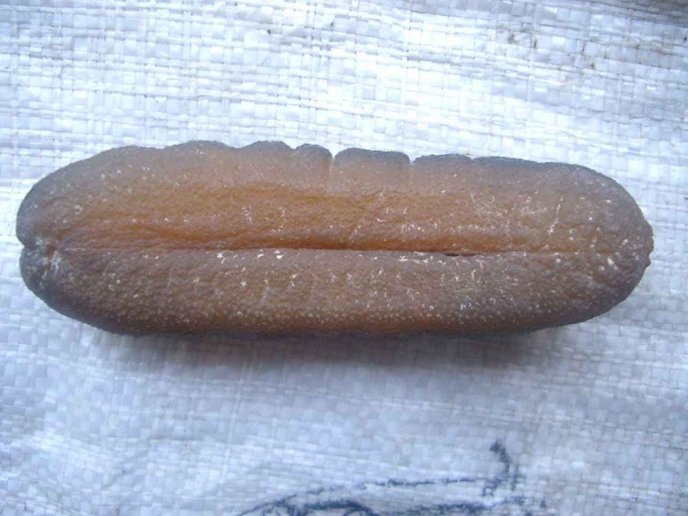 repository.unri.ac.id