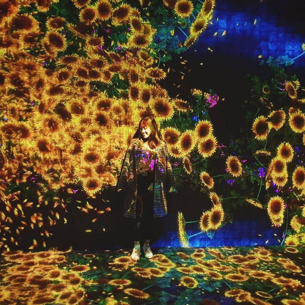 Instagram.com/_amandaleung_