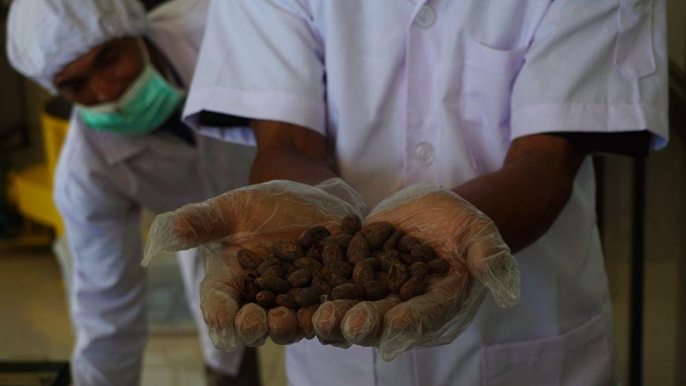 IDN Times/Mohamad Ulil Albab