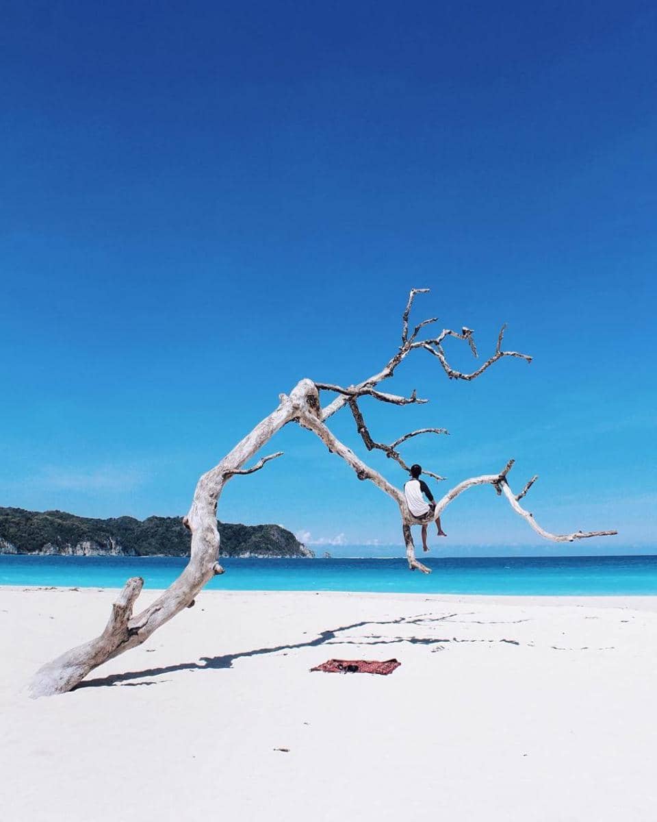 instagram.com/mrozag