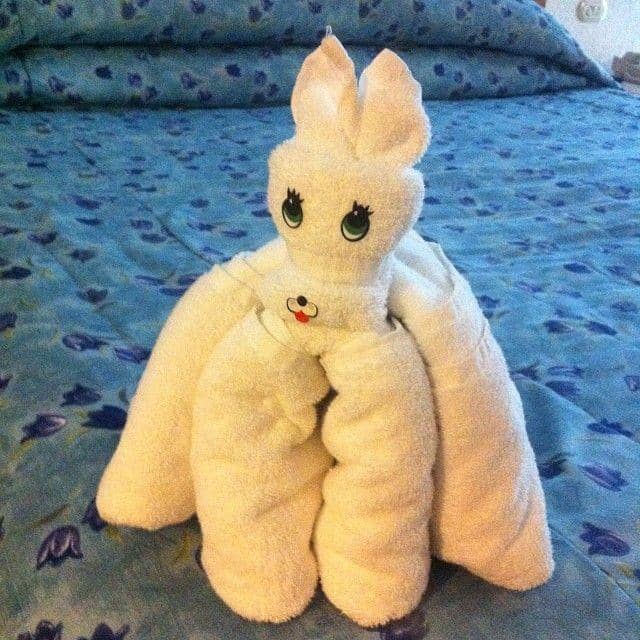 instagram.com/theheathshow