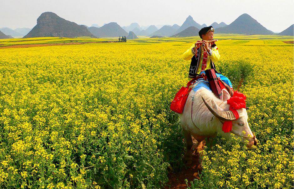 travelchinawith.me