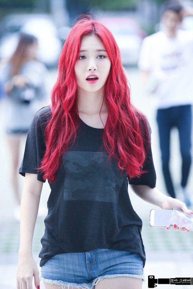 jjoa-grapher.tistory.com