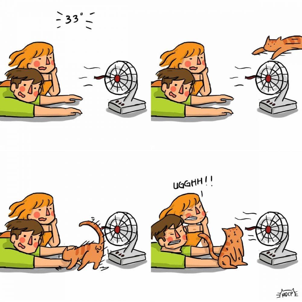 instagram.com/madcatnip