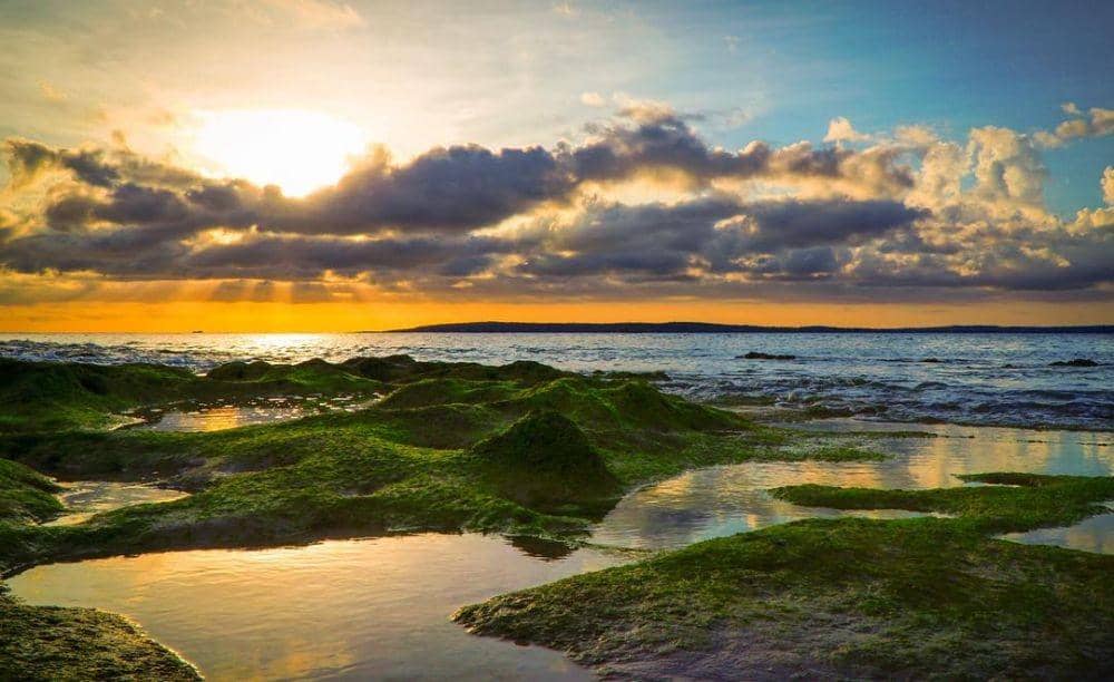 Instagram.com/keanogass