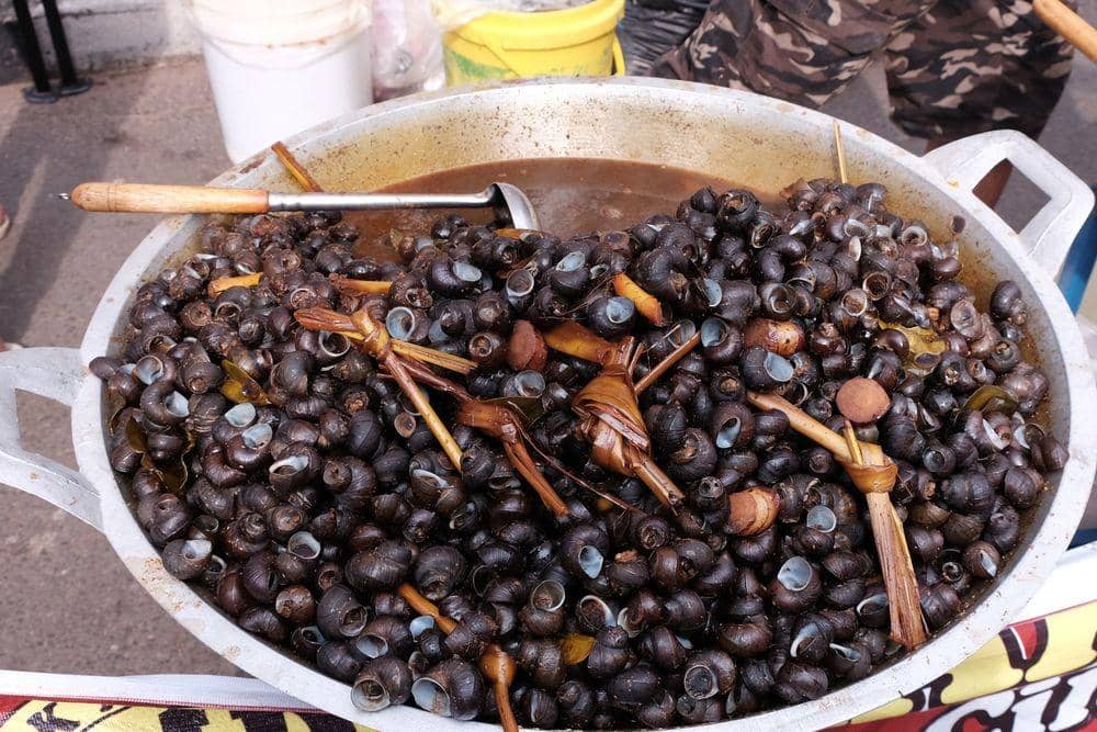 shutterstock.com/fahryadam