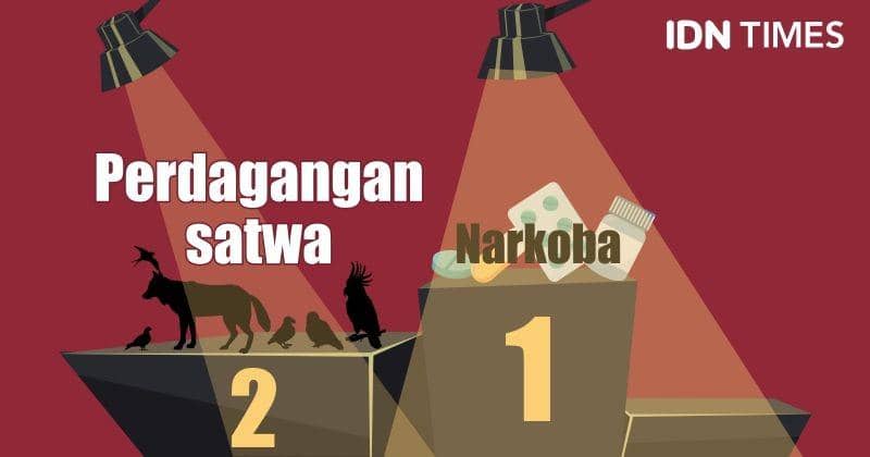 IDN Times/Sukma Shakti